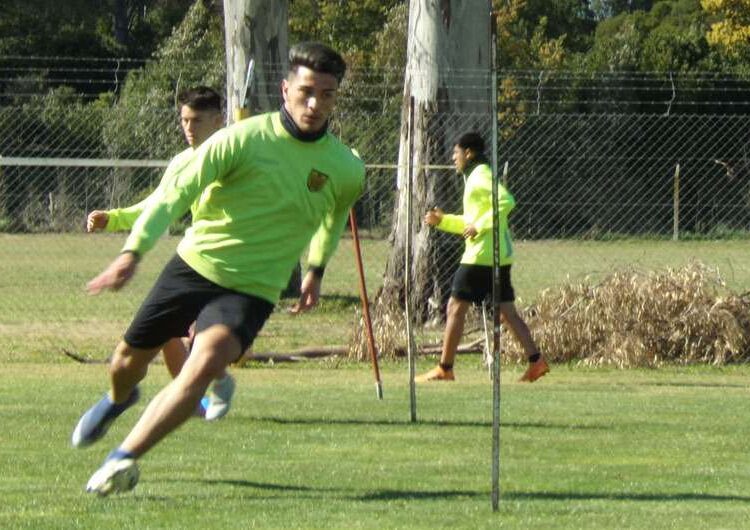 Santamarina suspendió los entrenamientos