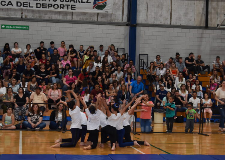 Escuela Municipal de Gimnasia “A esto primero lo soñaron las chicas”