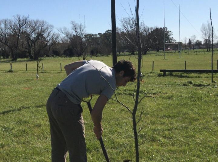 Jugadores del Club Onas Rugby trabajaron en el predio