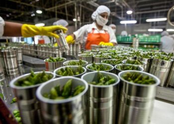 Agroindustria, oportunidades, amenazas y una nueva fórmula del desarrolo