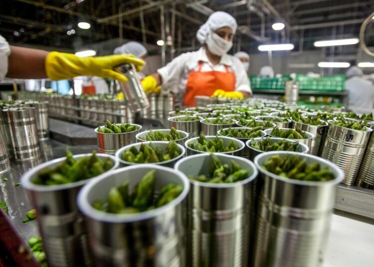 Agroindustria, oportunidades, amenazas y una nueva fórmula del desarrolo