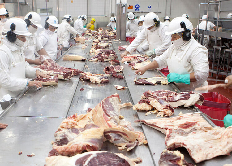 Argentina frenó la compra de carne de cerdo a Alemania