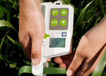 Lanzan un servicio digital para trigo y cebada que permite diagnosticar y tomar decisiones