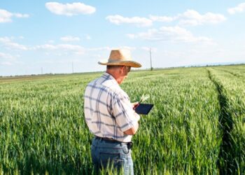 La Sociedad Rural presentó una nueva Bolsa de Trabajo que simplifica búsquedas online