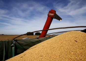 Mercado Libre se mete de lleno con la venta de insumos y maquinaria para el campo