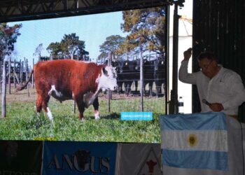 Se realizó el 35º Remate Anual de Cabaña con buenos resultados