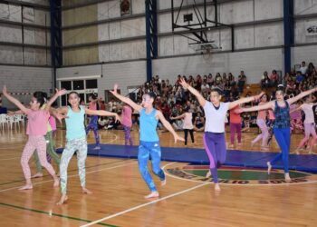 La Escuela Municipal de Gimnasia Artística  se prepara la vuelta
