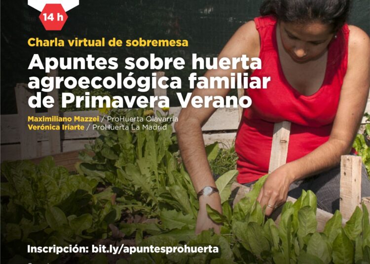 Charla Virtual de sobremesa: «Apuntes sobre la huerta de Primavera Verano»