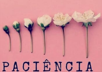 ¿Dónde estará mi primavera?