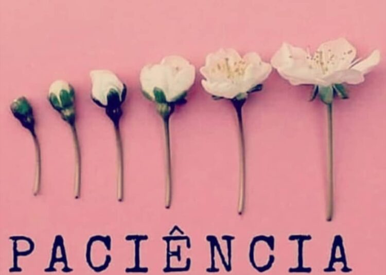 ¿Dónde estará mi primavera?