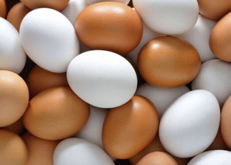 Semana mundial del huevo: las bondades de un superalimento que previene enfermedades