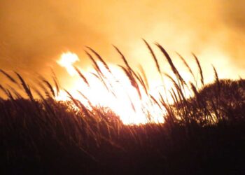 La Reserva a la buena de Dios, nuevamente en llamas