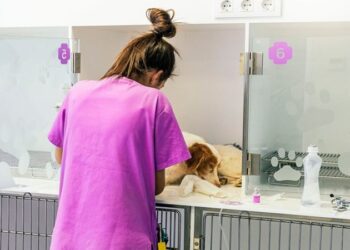 La Plata: testearon a un centenar de mascotas para saber si también se contagian con Covid