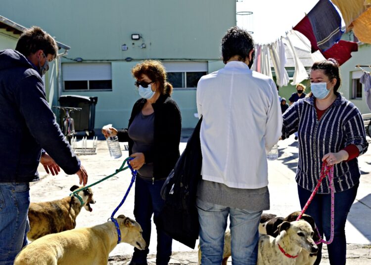 Terapia asistida por perros en el Hogar de Ancianos Municipal “Cayetano Zibecchi”