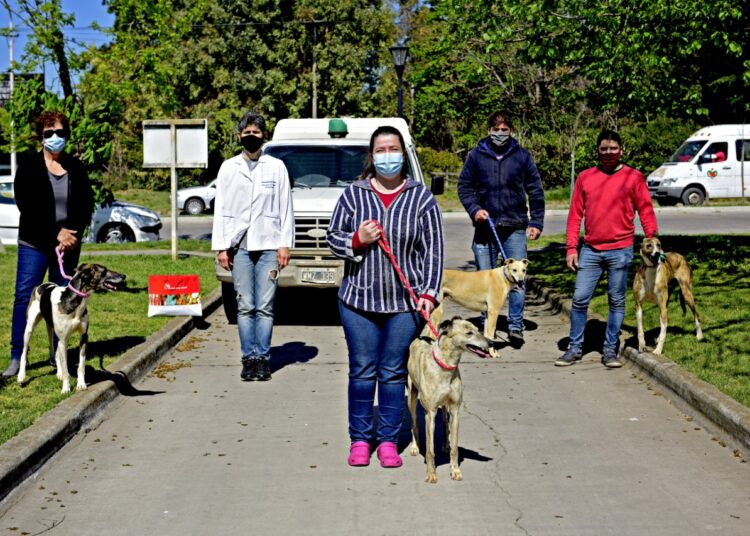 Terapia asistida por perros en el Hogar de Ancianos Municipal “Cayetano Zibecchi”