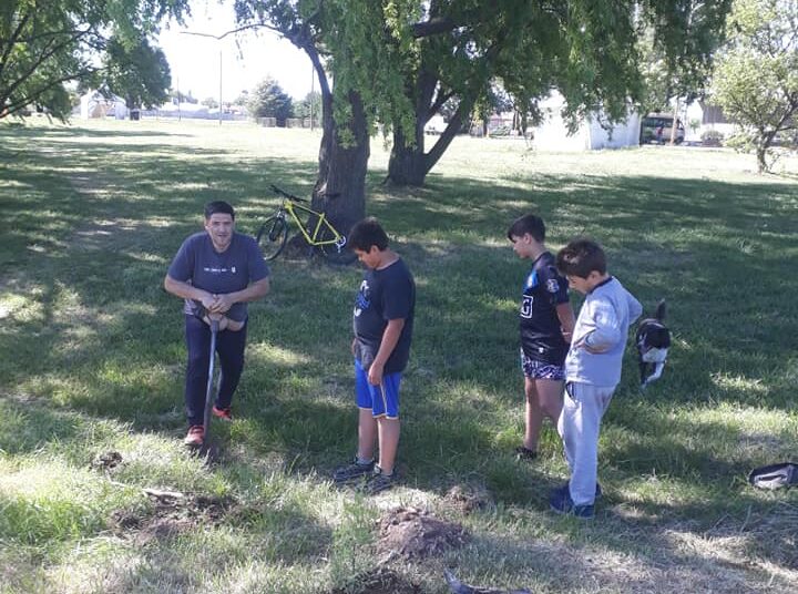 Trabajo en conjunto: fueron colocados cien pinos en el predio de Villa Lumiere