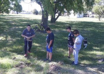 Trabajo en conjunto: fueron colocados cien pinos en el predio de Villa Lumiere