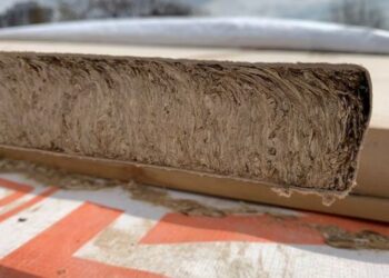 Instalarán en Tandil la primera planta del país que utilizará rastrojo de trigo para hacer paneles de construcción