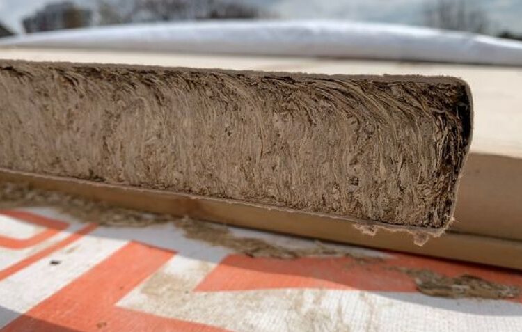 Instalarán en Tandil la primera planta del país que utilizará rastrojo de trigo para hacer paneles de construcción