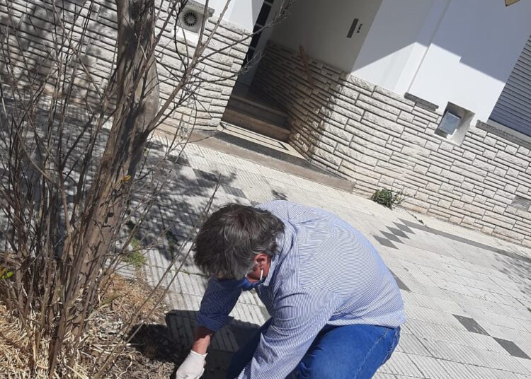 Concejales de Juntos por el Cambio preocupados por la fumigación de veredas con agroquímicos