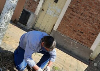 Concejales de Juntos por el Cambio preocupados por la fumigación de veredas con agroquímicos