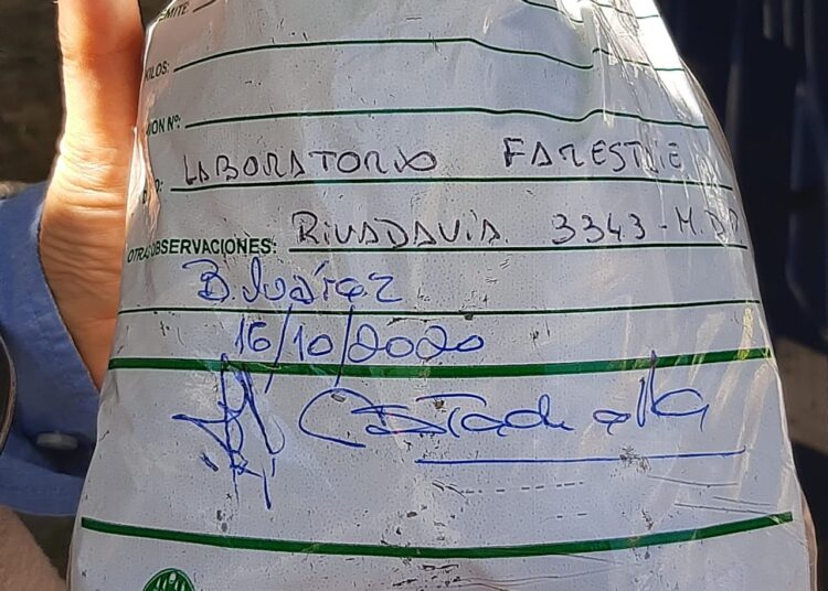 Concejales de Juntos por el Cambio preocupados por la fumigación de veredas con agroquímicos