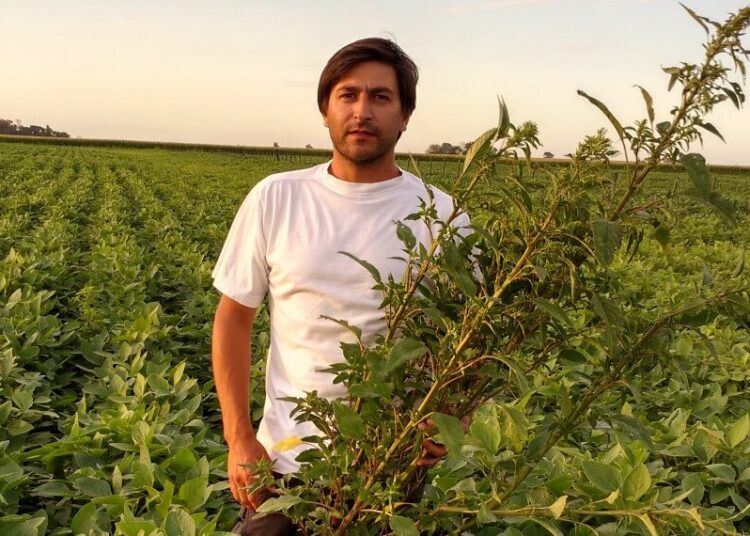 Las lluvias incentivaron al productor: ¿Cuál es combo ideal para acelerar la siembra de soja?