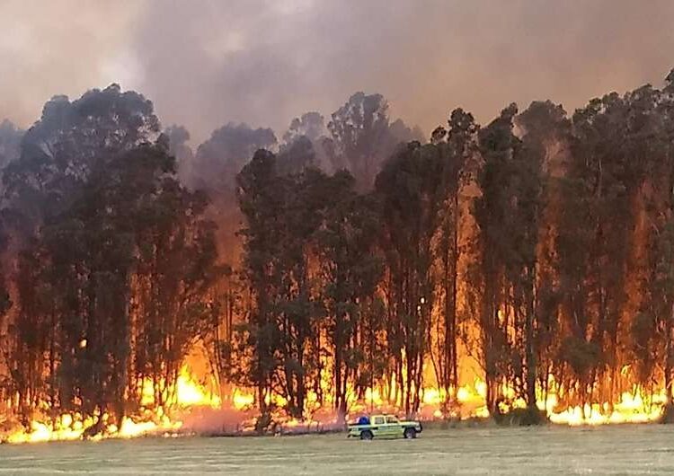Llegaron un avión hidrante y un helicóptero para colaborar en el combate del fuego en las sierras