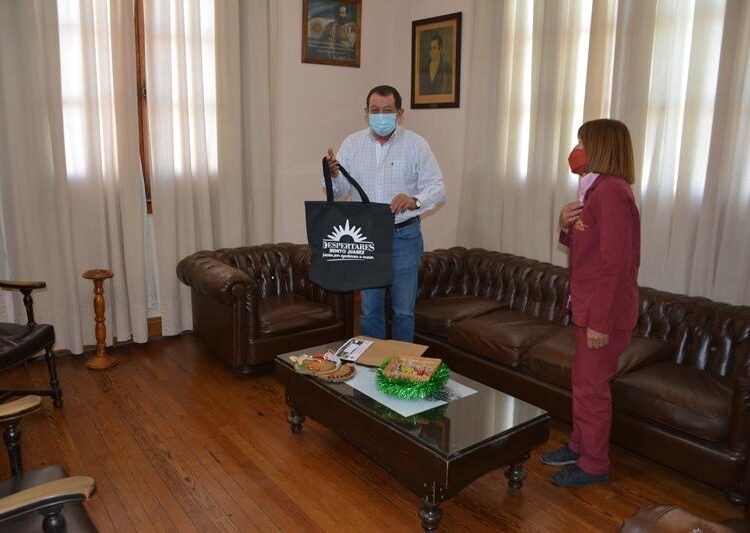 Visita Institucional