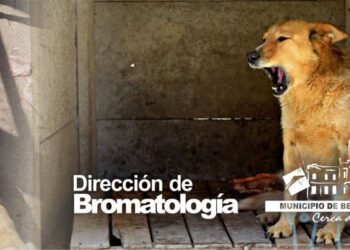 La Dirección de Bromatología informa que este miércoles estará en barrio Pachán