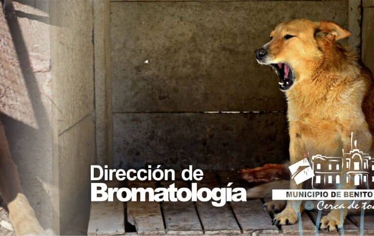 La Dirección de Bromatología informa que este miércoles estará en barrio Pachán