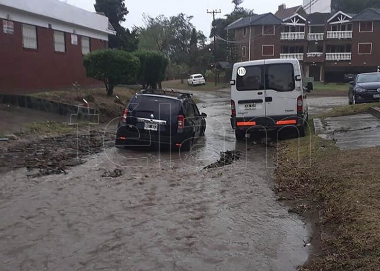 Temporal en la Costa Atlántica: calles anegadas, árboles caídos y alerta rojo