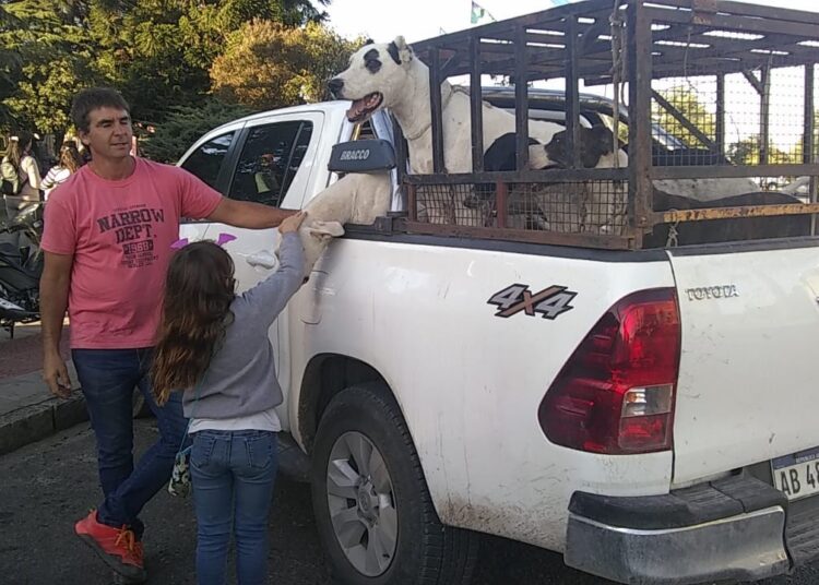 Se realizó una Asamblea Popular para pedir el esclarecimiento de la matanza de animales