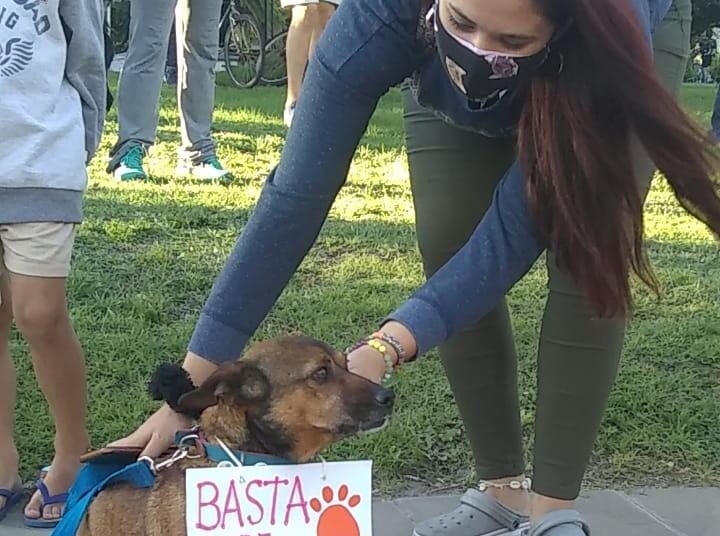 Se realizó una Asamblea Popular para pedir el esclarecimiento de la matanza de animales