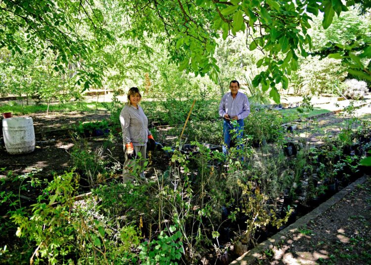 El Intendente Marini superviisó el mantenimiento de espacios públicos
