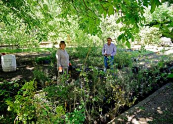 El Intendente Marini superviisó el mantenimiento de espacios públicos