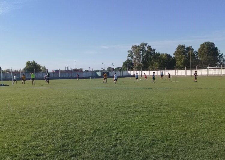 Todas las categorías de Argentino entrenan en su predio, hoy arranca la Escuelita