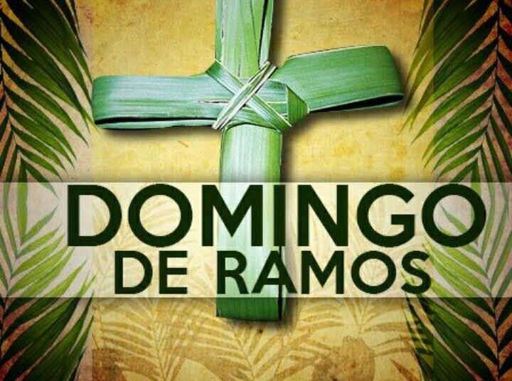 El domingo desde las 10 hs.  se realizará la Misa con Bendición de Ramos