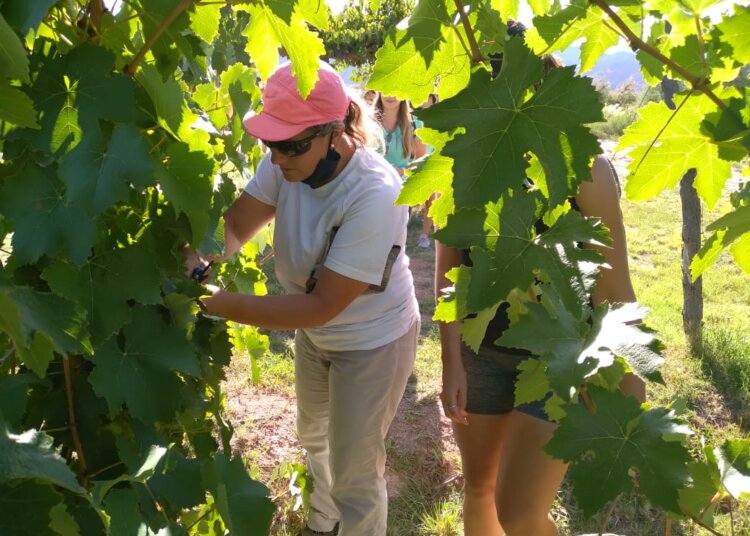 Entre viñedos, telares y naturaleza, el Departamento General Felipe Varela se consolida como destino turístico