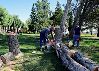 Se realizan los trabajos de embellecimiento en el Parque 9 de Julio