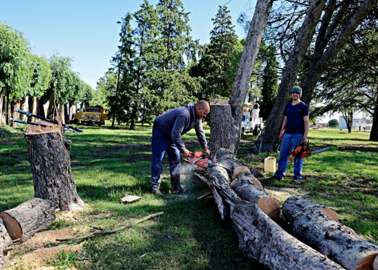 Se realizan los trabajos de embellecimiento en el Parque 9 de Julio