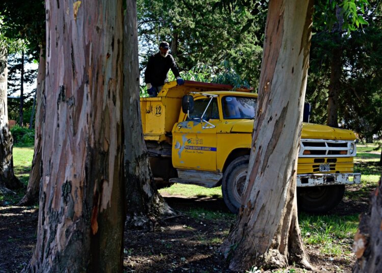 Se realizan los trabajos de embellecimiento en el Parque 9 de Julio