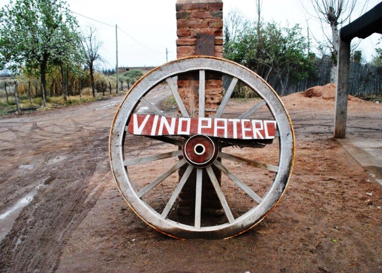 Entre viñedos, telares y naturaleza, el Departamento General Felipe Varela se consolida como destino turístico