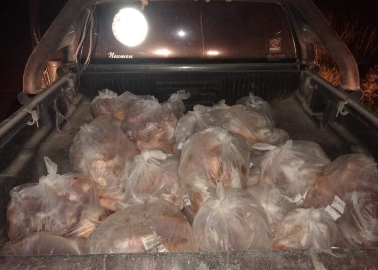 Interceptaron una camioneta en caminos rurales que transportaba más de 100 kg de carne