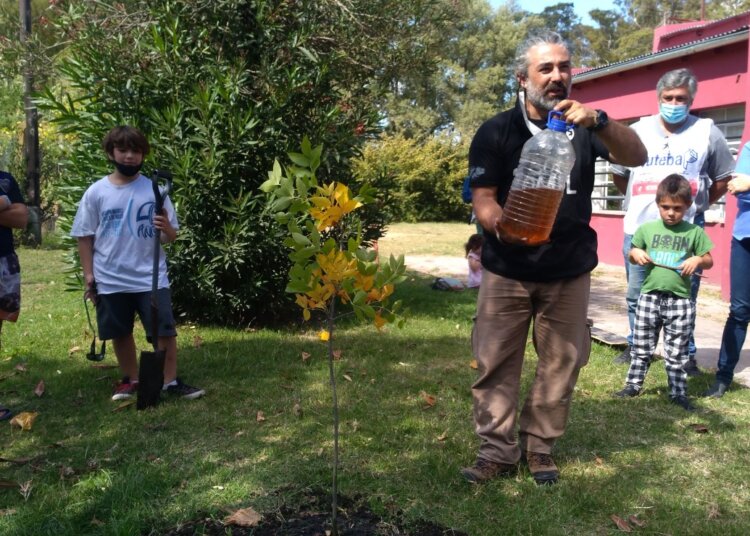 Se plantó un fresno en la sede de la agencia con acompañamiento de autoridades y comunidad