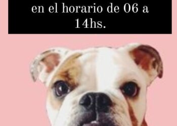 Bromatología informa a la comunidad