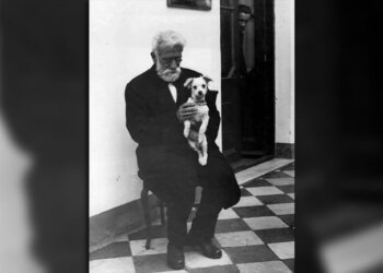 Día del animal: las curiosas razones de su creación