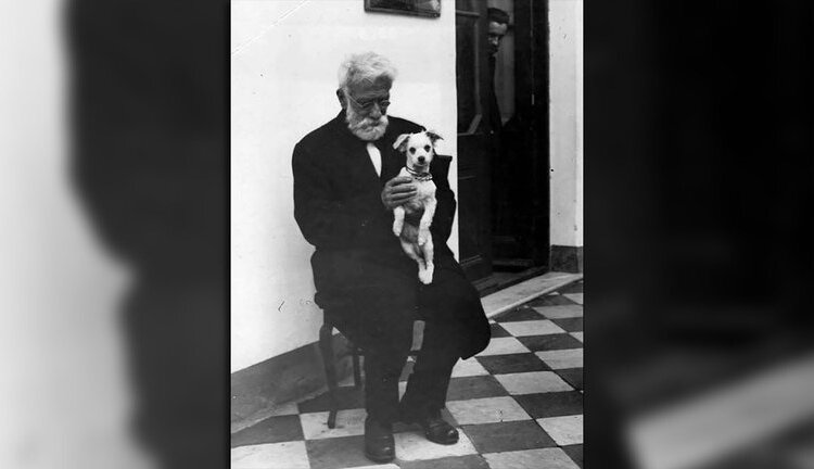 Día del animal: las curiosas razones de su creación