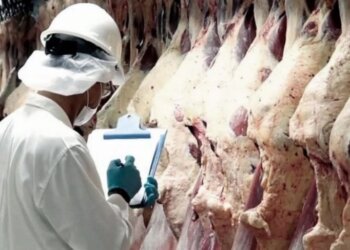 Desde enero de 2022, adiós a la media res: se distribuirá carne troceada