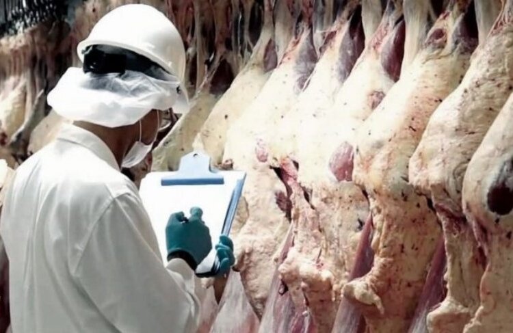 Desde enero de 2022, adiós a la media res: se distribuirá carne troceada